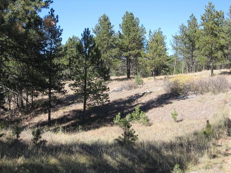 2nd image of 12939 Pine Top Trl