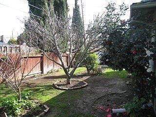 1st image of 628 Cypress Ave