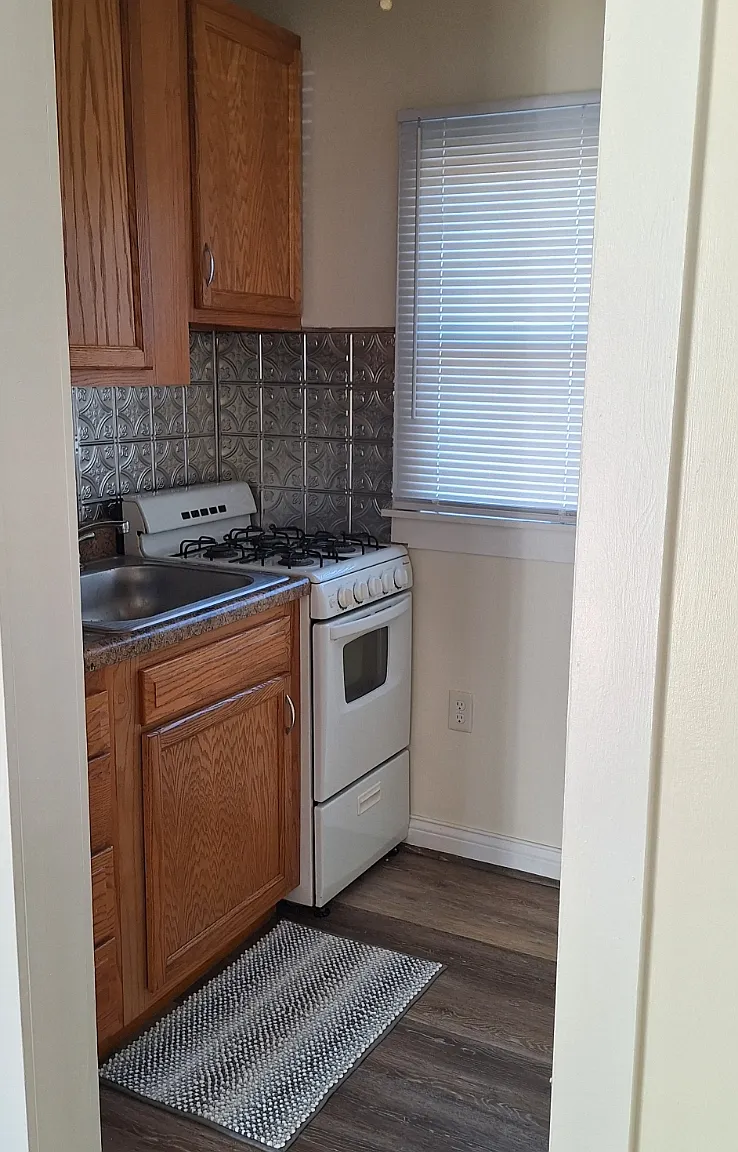 Studio, 250 sqft, $600 — Photo 2