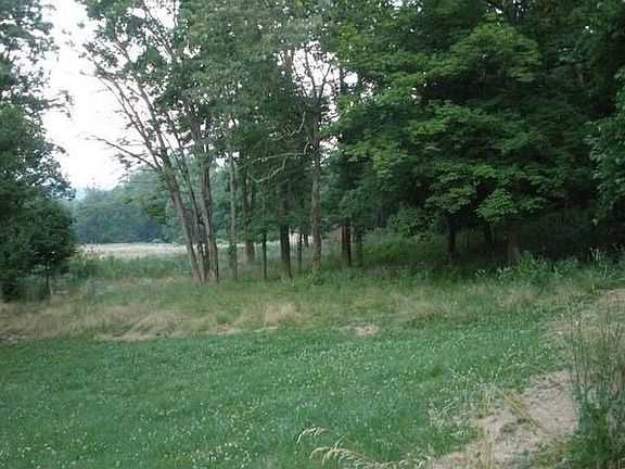 view of pasture from back yard