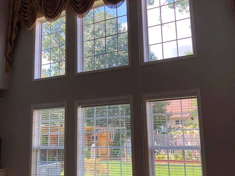 605 Verbena Cv — Photo 20