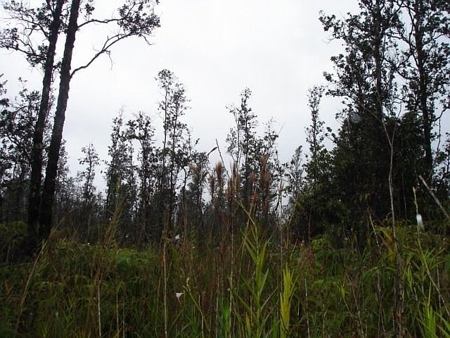 1st image of Road 6 Ooaa Lot 4231