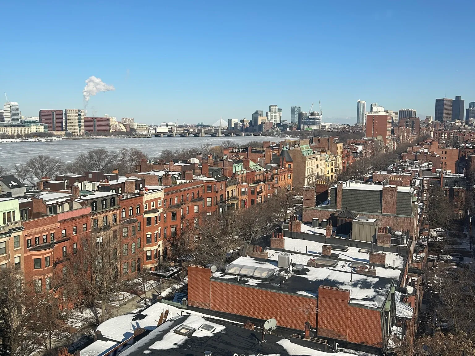 1 bed, $3,900 — Photo 1