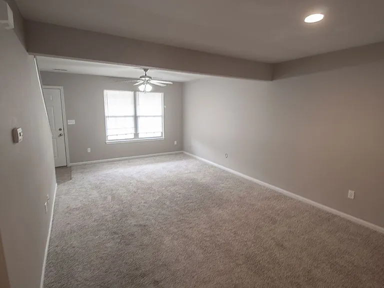 4014 Snowy Owl Dr — Photo 6