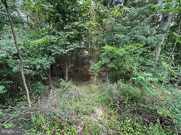 3rd image of 147 Lake Holiday Rd