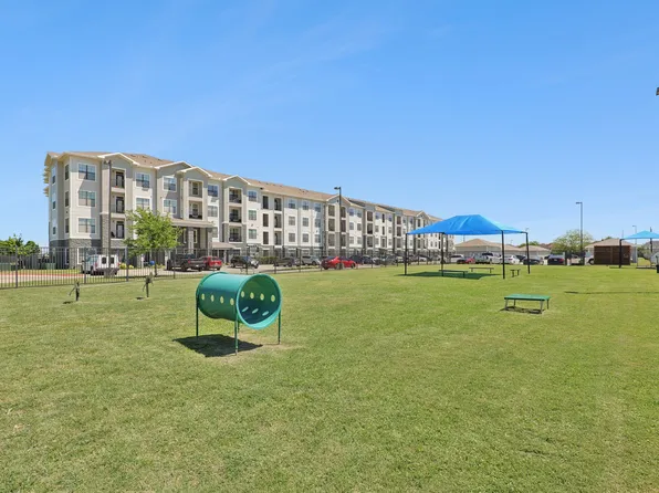 The Henry at New Forest