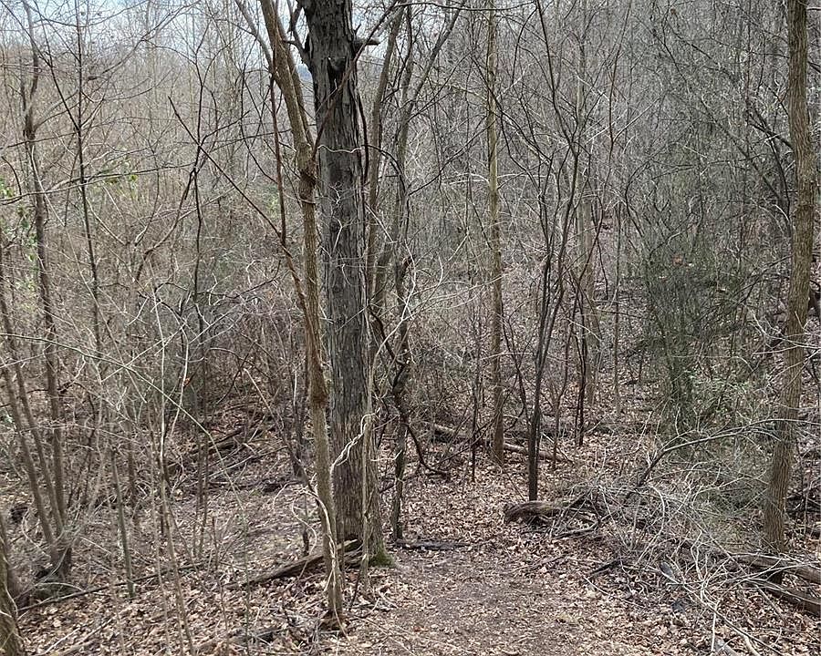 1st image of 0 County Road 638