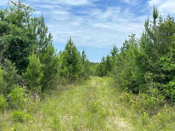TRACT 6102 State Highway 55 #Red, Red Level, AL 36474