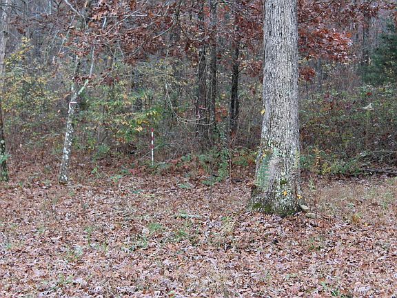 5th image of 570 Deer Lodge Hwy