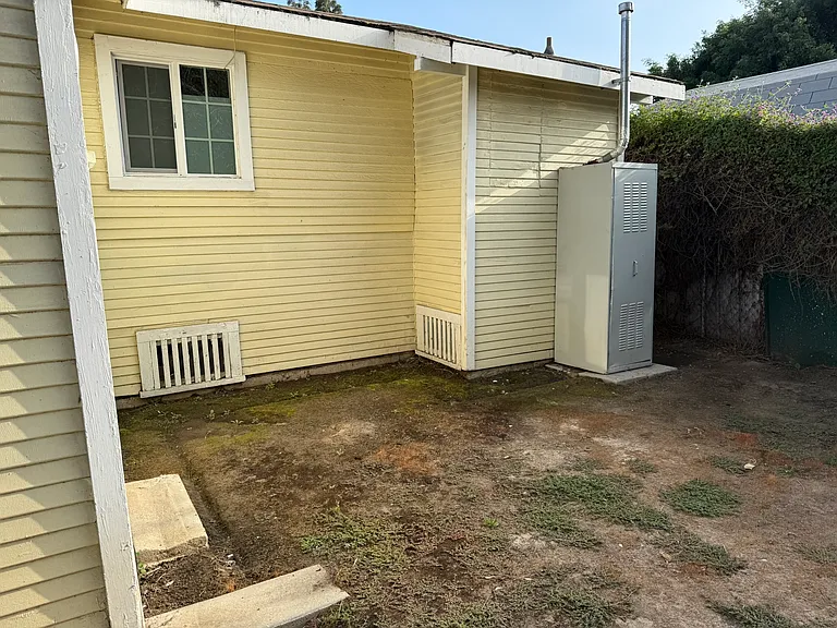 back yard