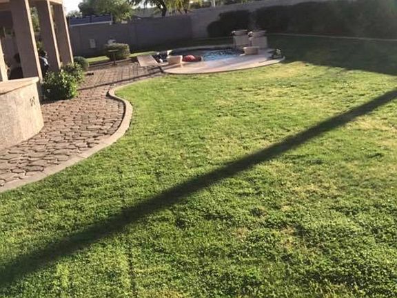 Large grassy area.