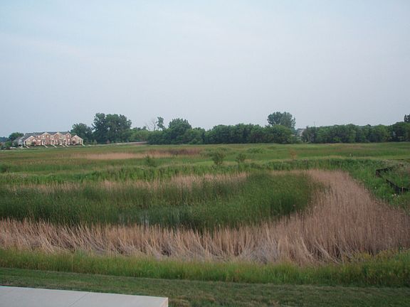 Reserve and pond from Master Bdrm