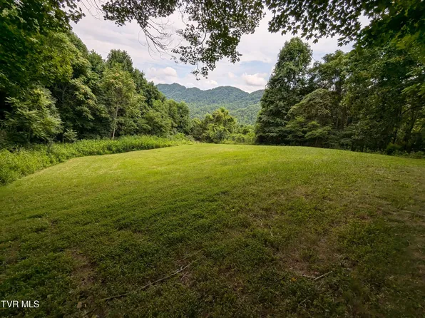 Sugar Pine Ln, Gate City, VA 24251