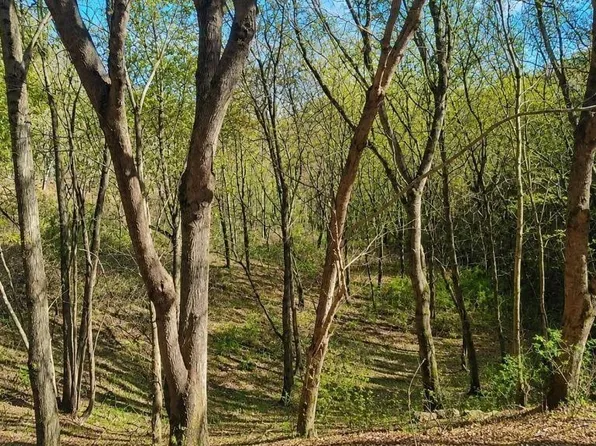 0 Blackberry Ridge Way Lot 85, Smithville, TN 37166