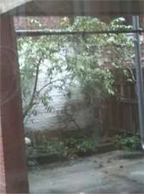 Rented by NextStopNY | media 26