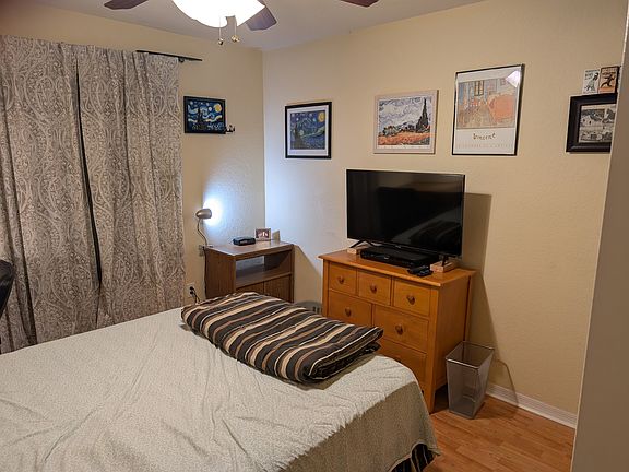 Smart TV Van Gogh decor