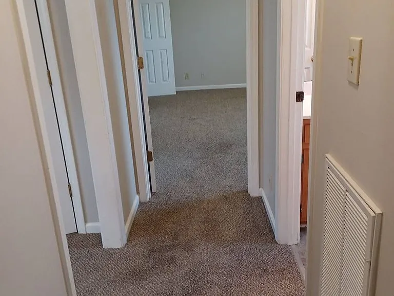1965 Timberline Cir — Photo 5