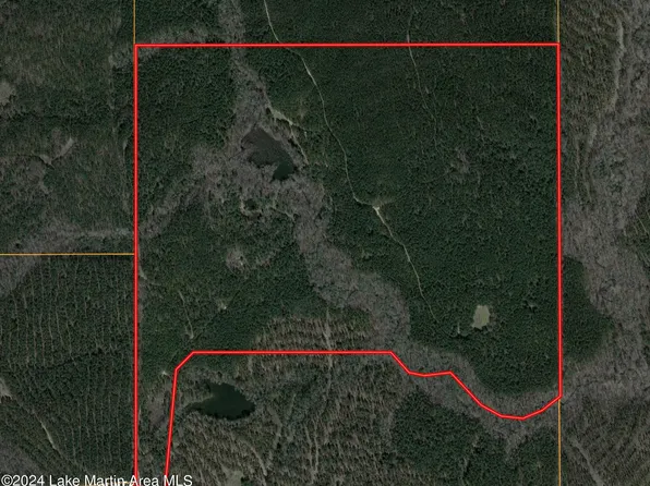 13175/- County Road 28, Goodwater, AL 35072