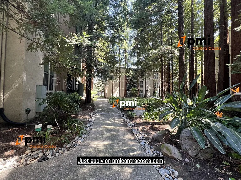 155 Sharene Ln #213 — Photo 29