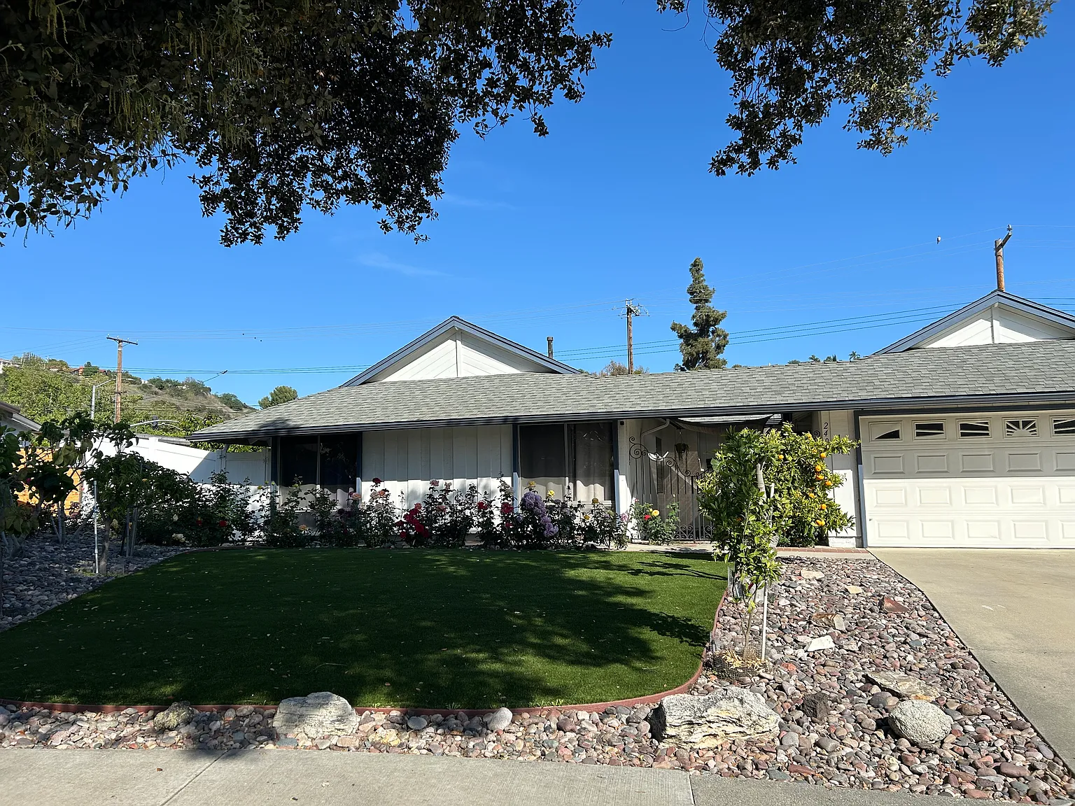 1 bed, $1,200 — Photo 1