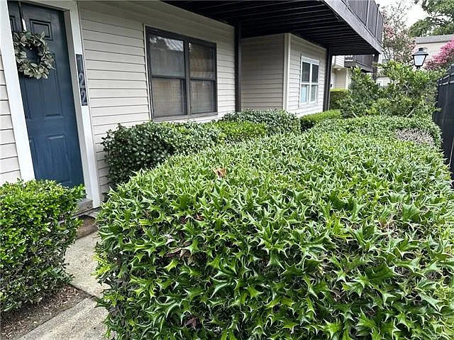 1 bed, 1.0 bath, 576 sqft, $1,400 — Photo 1