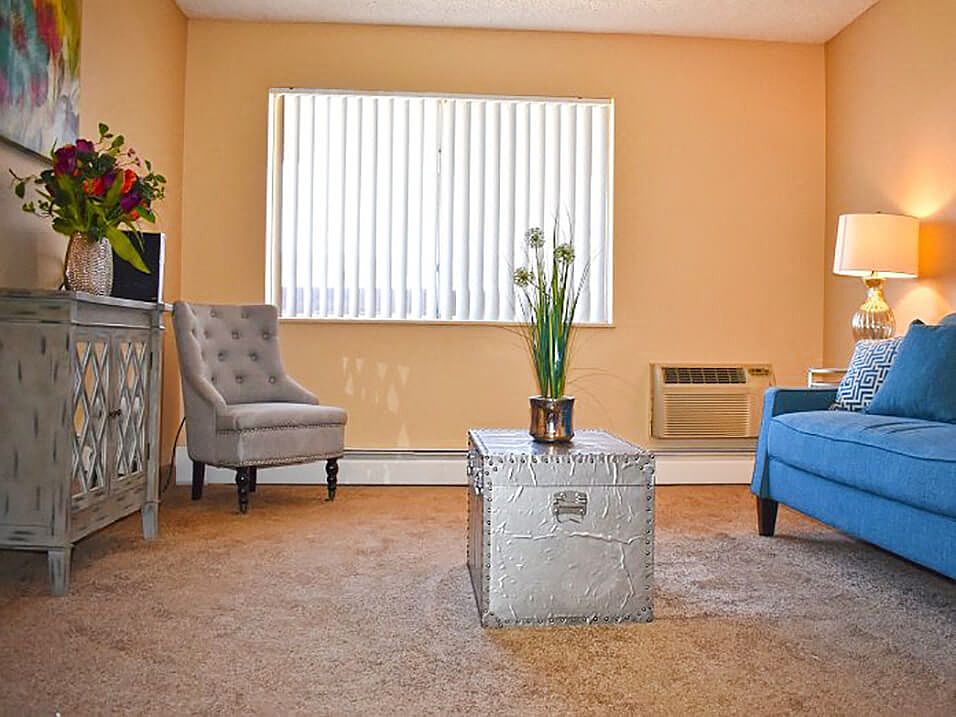 Living Room with Lots of Sunlight!