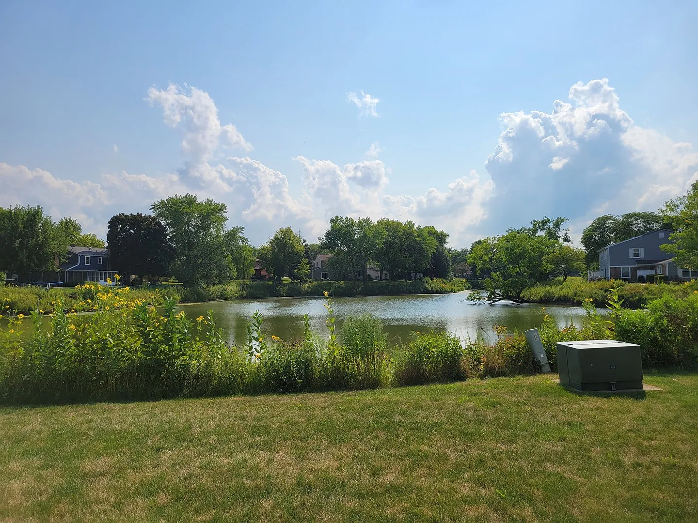2 bed, 1000 sqft, $2,000 — Photo 2