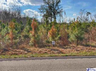 LOT 13 E Academy St, Latta, SC 29565