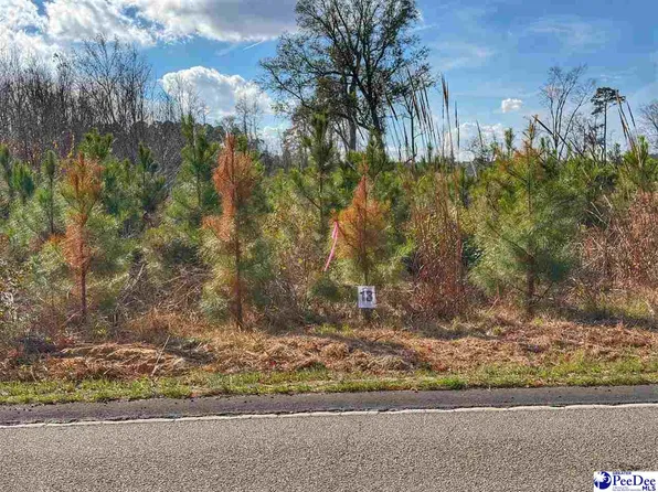 LOT 13 E Academy St, Latta, SC 29565