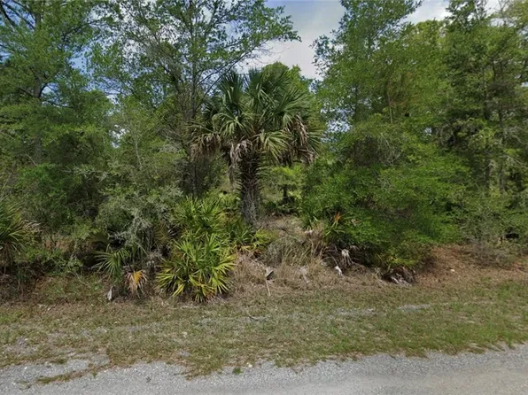 11615 W Cornflower Dr, Crystal River, FL 34428