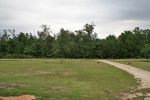 1st image of 312 Deer Park Dr