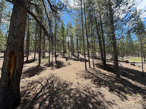 2nd image of 738 Lodgepole Drive