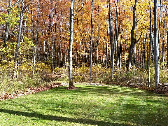 8.74 wooded acres