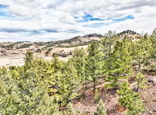 858 Chickadee Dr, Hartsel, CO 80449
