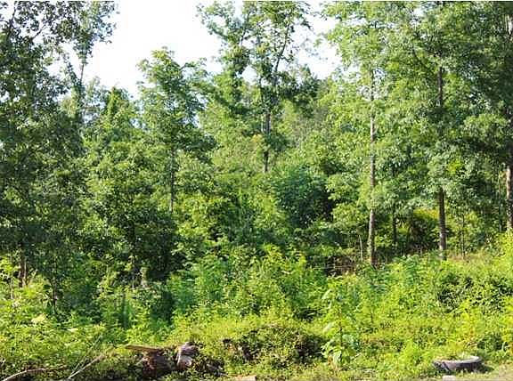 5th image of 1535 Highway 301