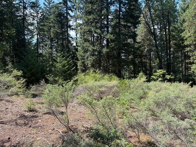 W Castle St, Mount Shasta, CA, 96067