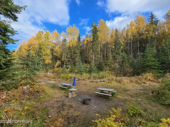 64830 Cox Cir, Hope, AK 99605