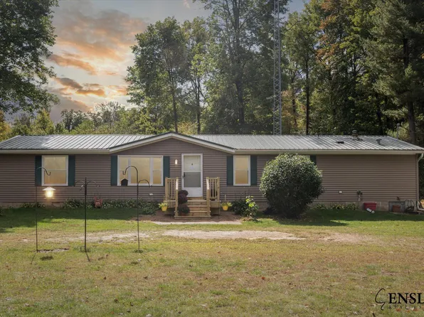 22653 Tamarack Rd, Howard City, MI 49329