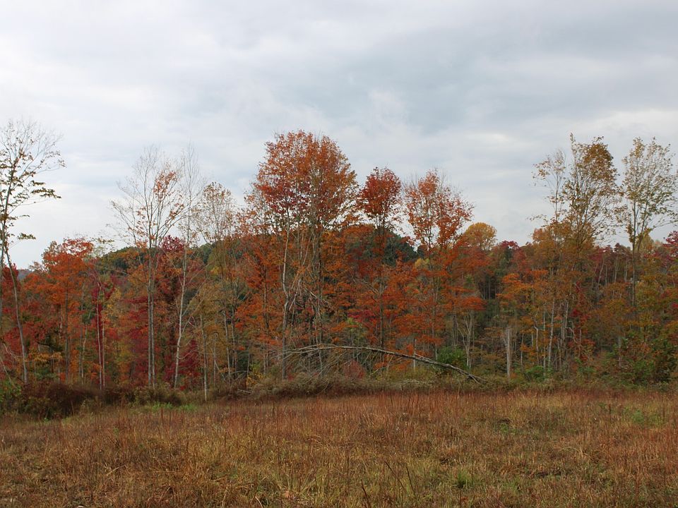 0 Shrum Hollow Rd, Lafayette, TN 37083 Zillow
