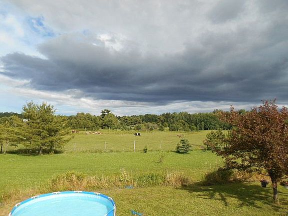 the view out the back door