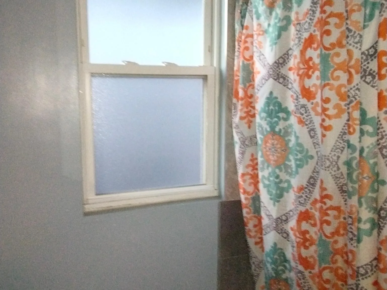 2 bed, 800 sqft, $1,250 — Photo 3