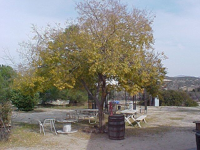 spring time