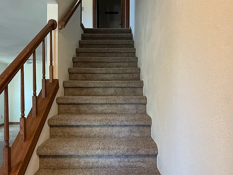 880 Hemlock Dr — Photo 16