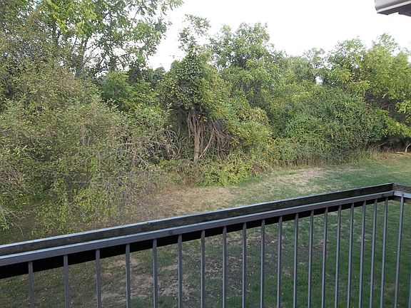 OPEN SPACE REAR VIEW