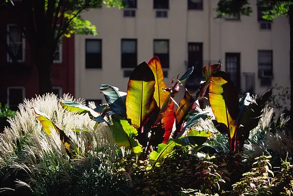 Rented by Ogden CAP Properties | media 1