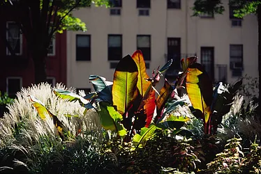 Rented by Ogden CAP Properties