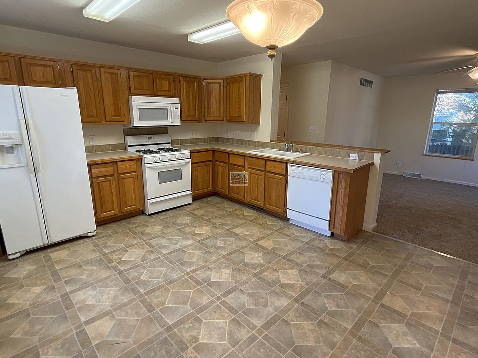 616_spruce_c_11252025