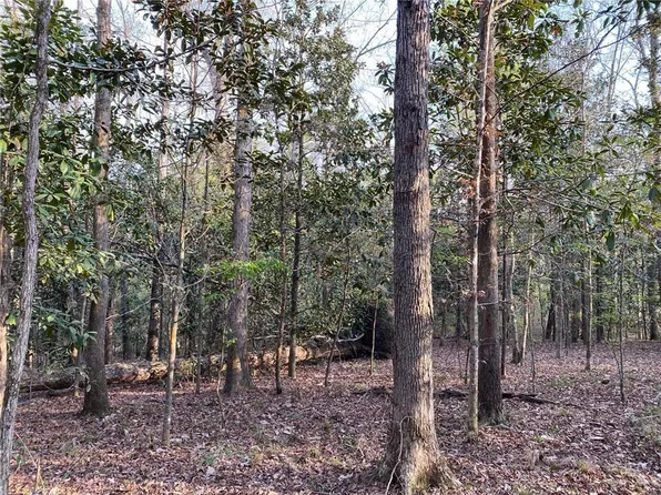 197 Pollock Cemetery Rd, Pollock, LA 71467