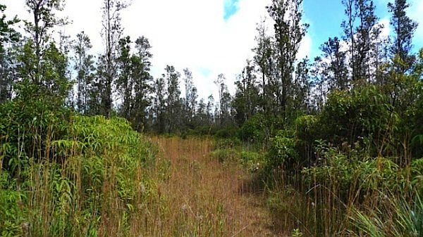 2nd image of Road 3 Hopue Lot 3224