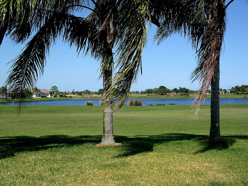 backyard view
